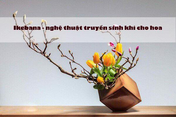 Cắm hoa Ikebana - “Hoa đạo” - Nghệ thuật truyền “sinh khí” cho hoa